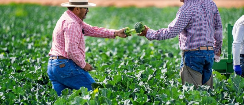wilmington farming injury attorney