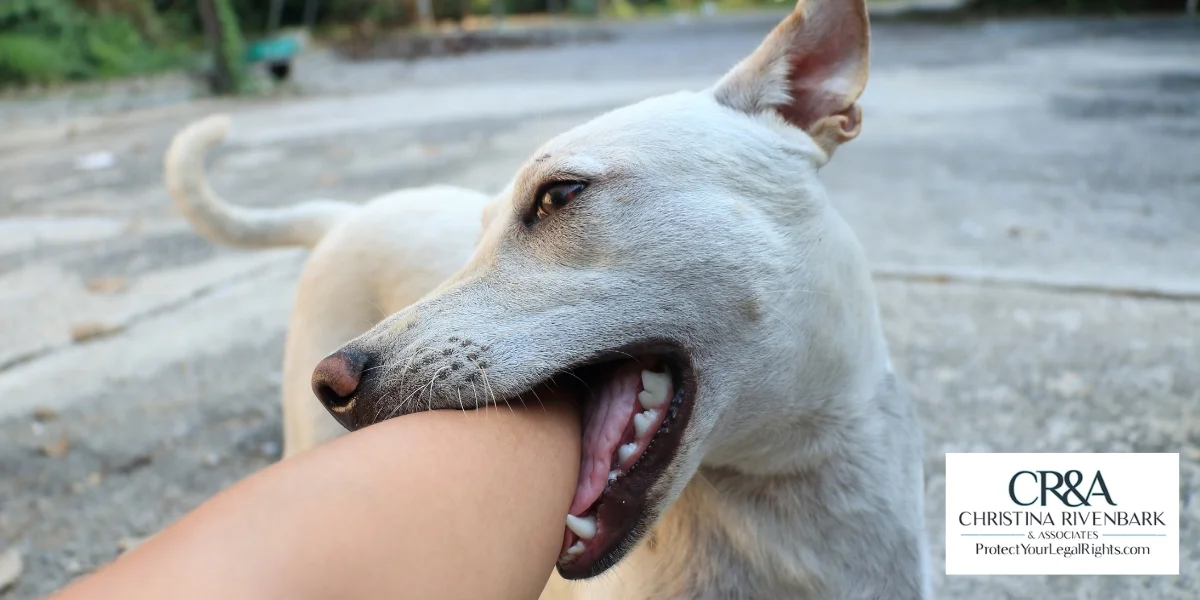 North Carolina Dog Bite Laws Explained
